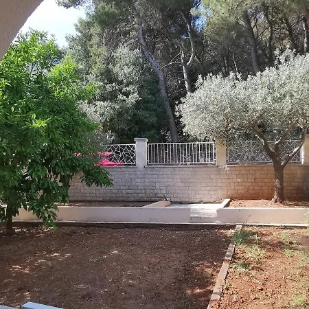 PUY Apartment Pineta With Terrace & Park Wood View מראה חיצוני תמונה