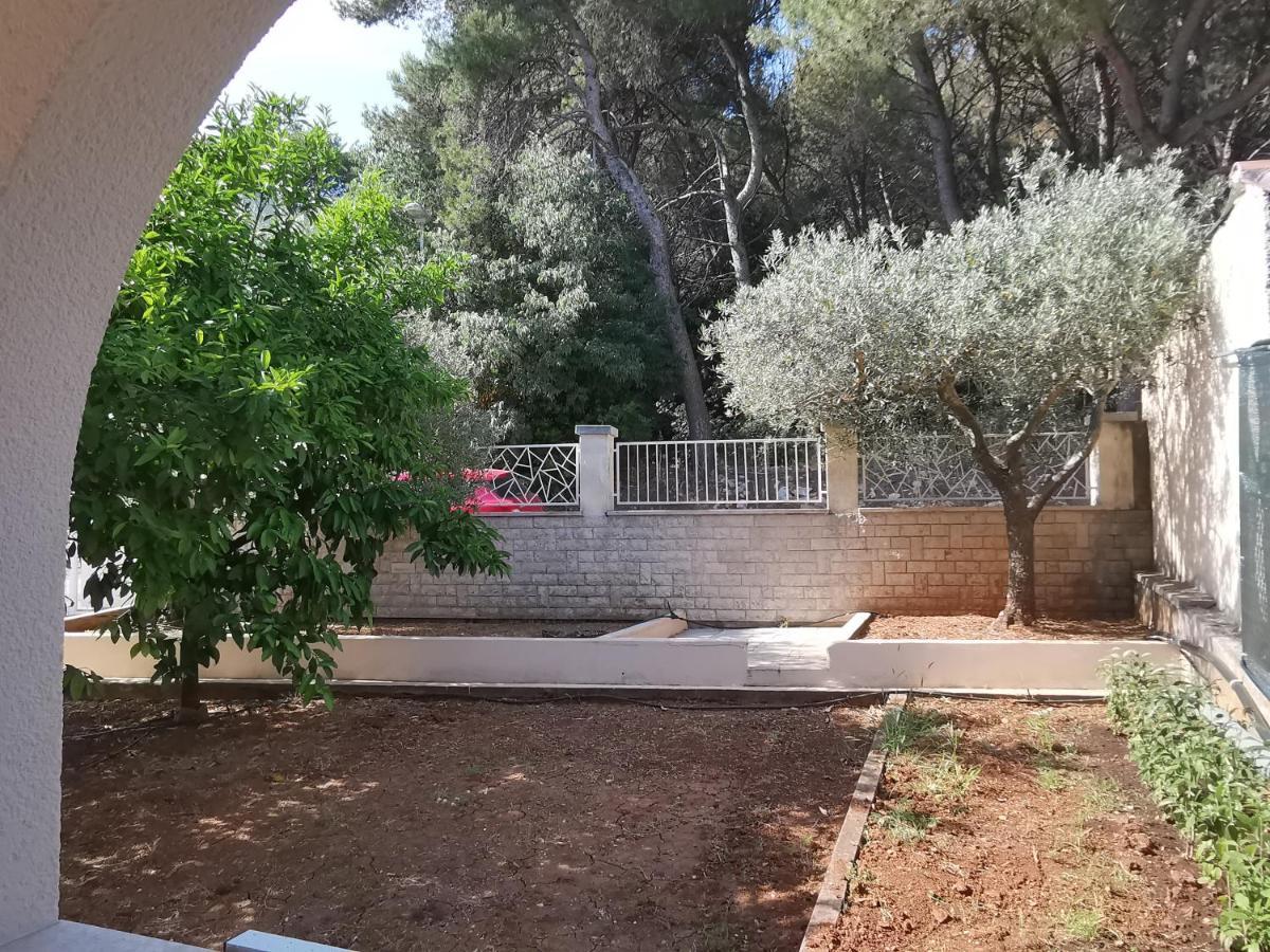 PUY Apartment Pineta With Terrace & Park Wood View מראה חיצוני תמונה
